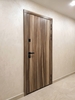 Дверь с МДФ-панелями HPL-пластик (Сантос и Серый)