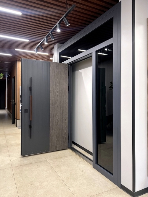 Остекленная дверь со скрытыми петлями